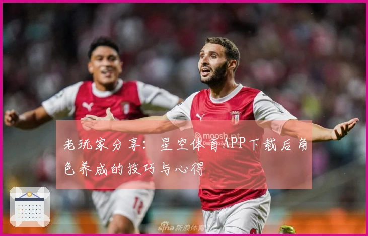 老玩家分享：星空体育APP下载后角色养成的技巧与心得